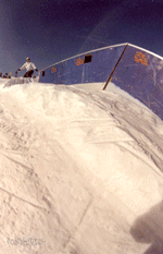 liese_laub_nosepress_tn_1.gif liese_laub_nosepress_tn_1.gif