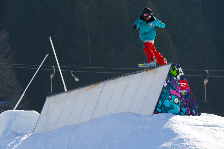 cg_2011-12_photo_03_peter_fettich_rider_stephie_nagel_96dpi.jpg