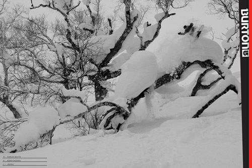 Shaun_Japan_Moran_1674_full.jpg Shaun_Japan_Moran_1674_full.jpg